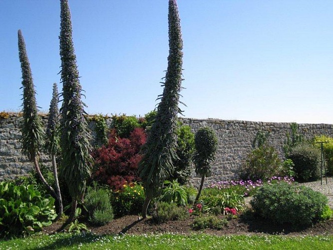 G44435-le-manoir-du-houguet-reville-7