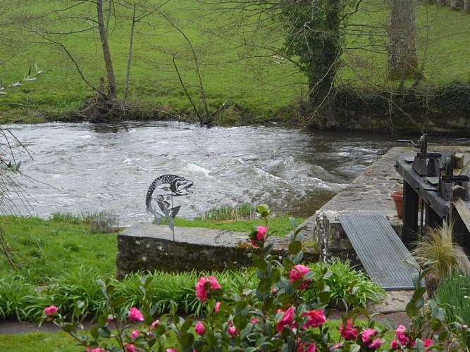 gite sourdeval les bois germain michel le moulin (1)