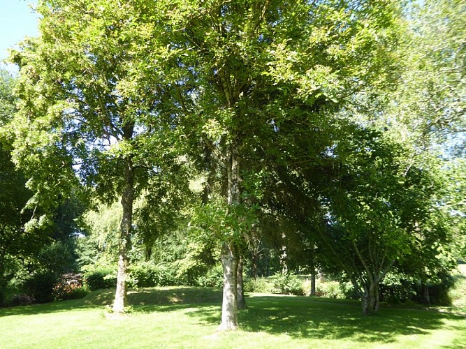 gite sourdeval les bois germain michel le moulin (11)