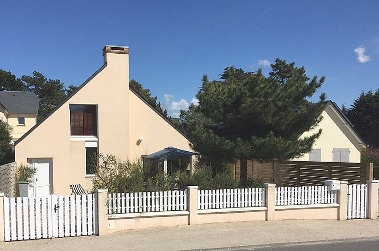 H8262-yuccas-hauteville-sur-mer