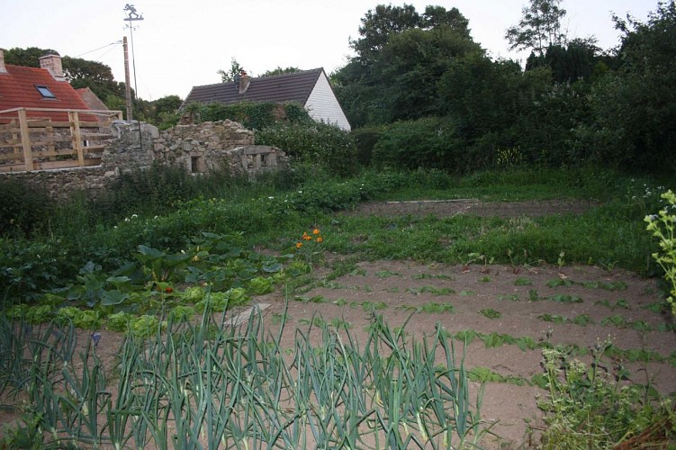 greville-hague-H3340-les-ricochets-4