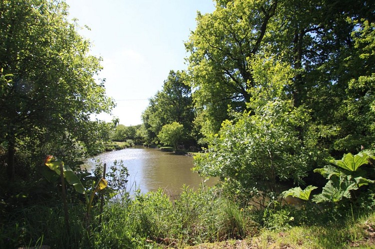 Gîtes de France G308 : Les Hortensias