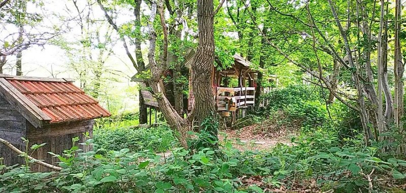 fermanville-le-nid-le-ptit-gris-des-moulins (6)