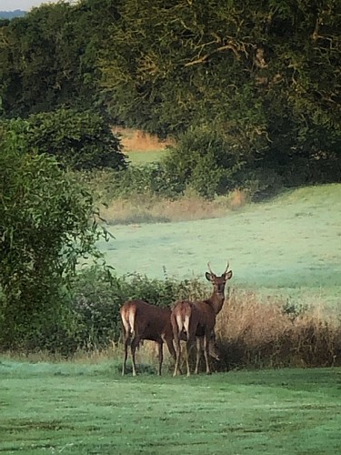 cerisy-la-foret-ch-les-rochers-30