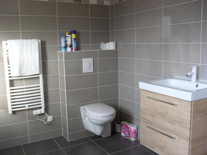 Saint-Germain-sur-Ay-meublé-le-Patelot-8