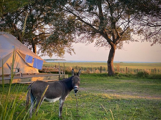 camping regneville sur mer (6)