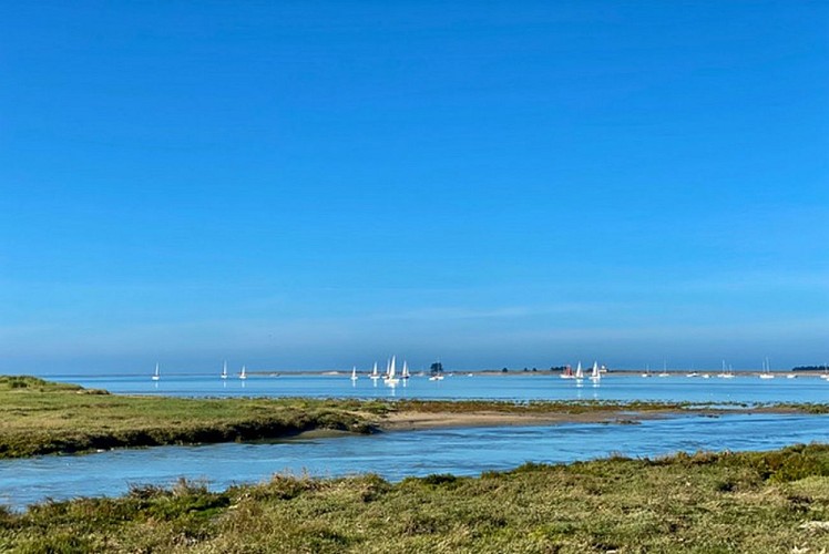 camping regneville sur mer (1)