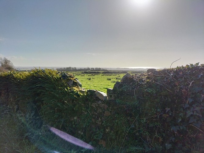 gite montmartin sur mer rebuffet francois caroline la petite maison (6)