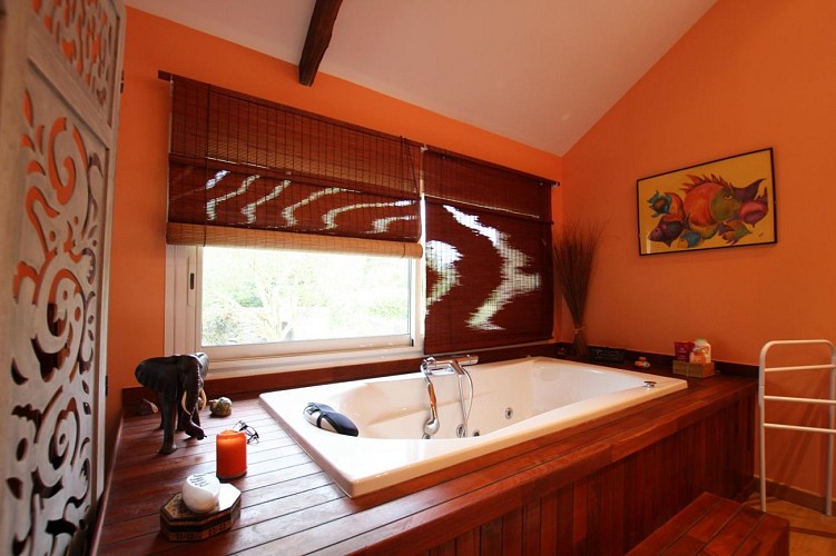 Gîtes de France G333216 : Château de la Mare