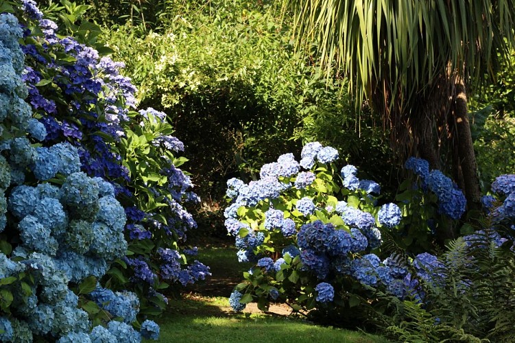 Gîtes de France G554 : Les Mots Bleus