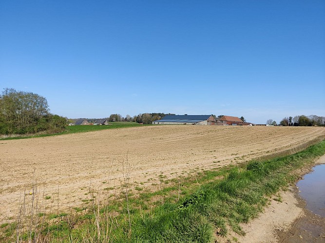 Paysage de la Neuve Cour