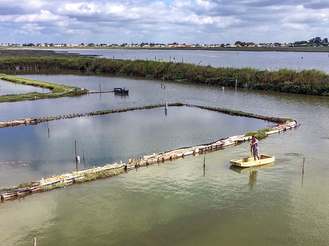 Vente directe d'huîtres, Charneau