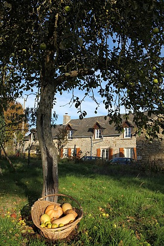 Chambre d'hôtes - La Grange ô Belles - Hinckley