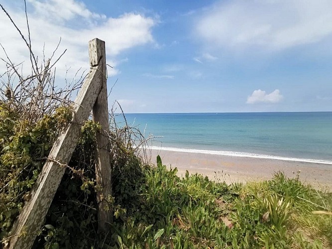 Siouville-Hague - Le Petit Air - 10