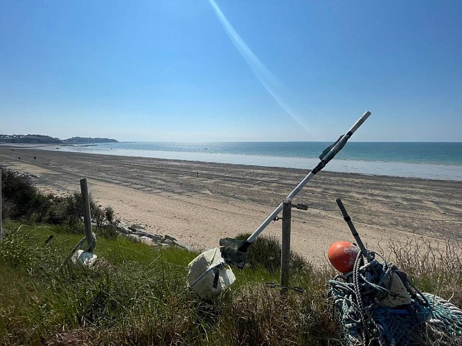 0-les-chardons-bleus-n12-donville-les-bains