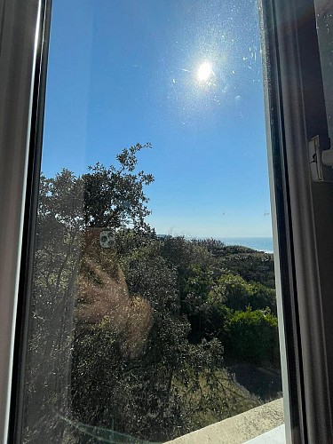 1-les-chardons-bleus-n23-donville-les-bains