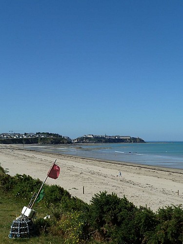 0-les-chardons-bleus-n23-donville-les-bains