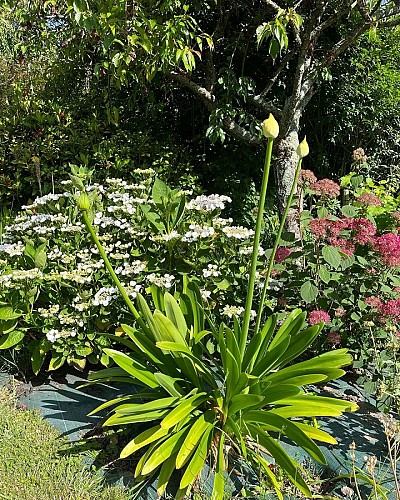 granville-ch-chez-bea-8