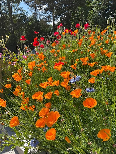 granville-ch-chez-bea-9