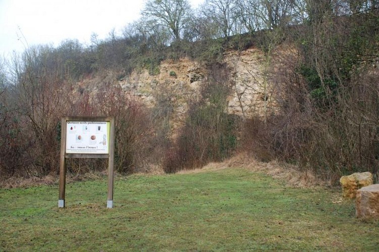 Coteau de Vilclair front de taille