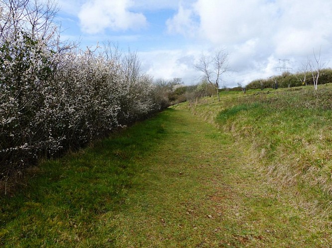 Coteau de Vilclair sentier