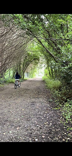 Ça Roule / location de vélo sur livraison