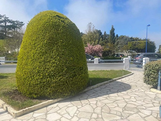 gite hauteville sur mer sejalon aurore chausey (7)