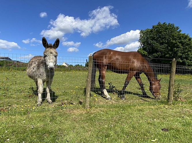 saussemesnil-meuble-leveque-pascale-7