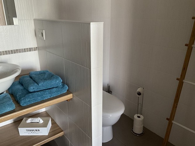 CHambres dhotes quettreville sur sienne Poulet beatricele mimosa (2)