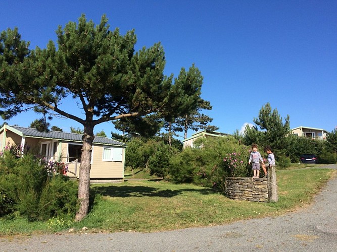 Baubigny-camping-bel-sito-lecoeur-2