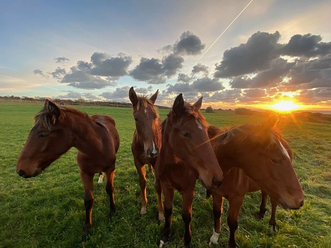 Baubigny-camping-bel-sito-lecoeur-5