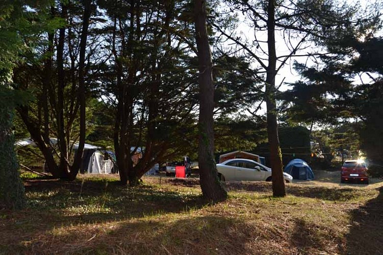 Créances-camping-les-dunes-7