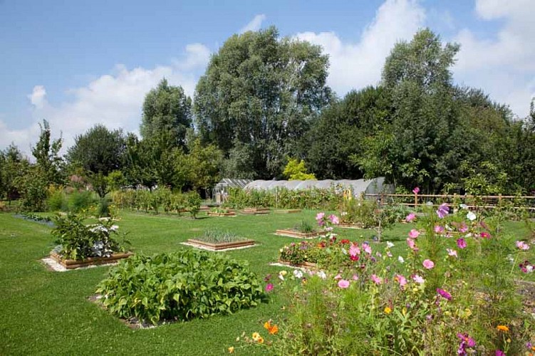 2013_Pontorson_Camping_Haliotis_0009