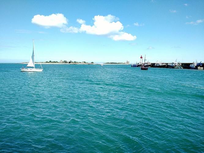 saint-vaast-la-hougue-camping-la-gallouette-12