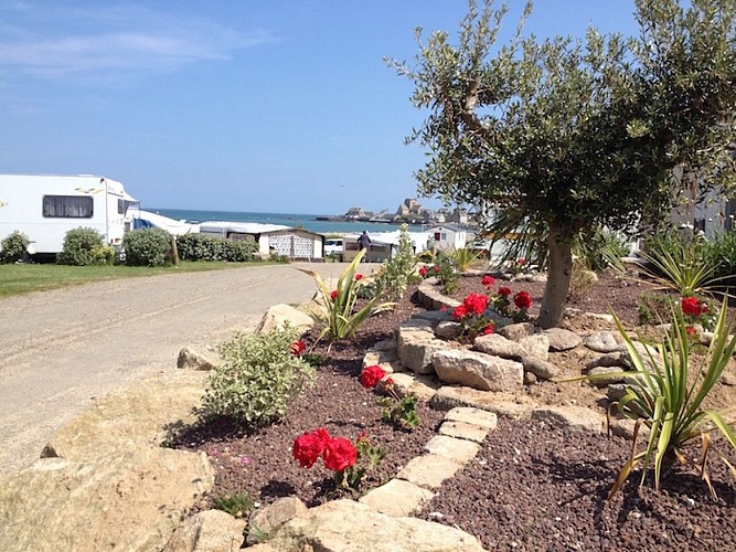 camping-de-la-blanche-nef-Barfleur-5