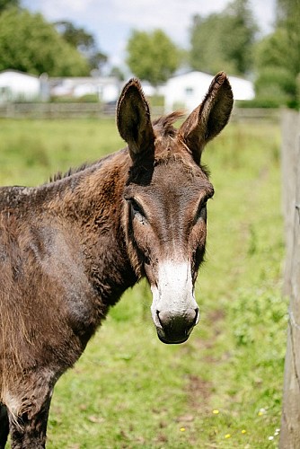 courtils-camping-saint-michel (5)