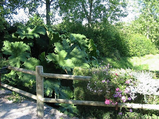 Saint-sauveur-le-vicomte-camping-du-vieux-chateau-4