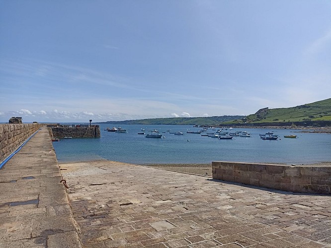 PORT DU HABLE - OMONVILLE LA ROGUE - 4