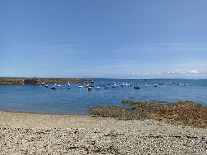 PORT DU HABLE - OMONVILLE LA ROGUE - 7