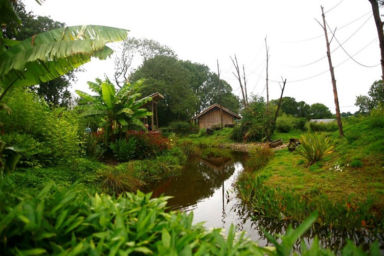 zoo-de-champrepus-amenagement-ile-gibbons