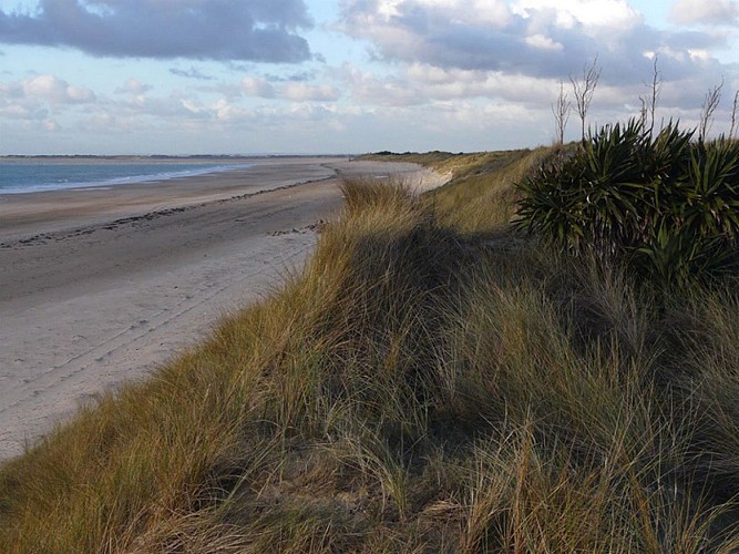 Plage d'Armanville à Pirou