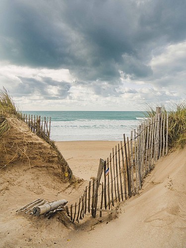 Aymeric-PICOT_Plage-de-Surtainville_Hiver_ODT-04440