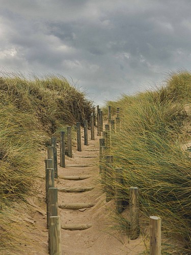 Aymeric-PICOT_Plage-de-Surtainville_Hiver_ODT-04530