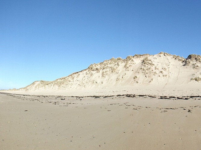Plage de la Bergerie à Pirou