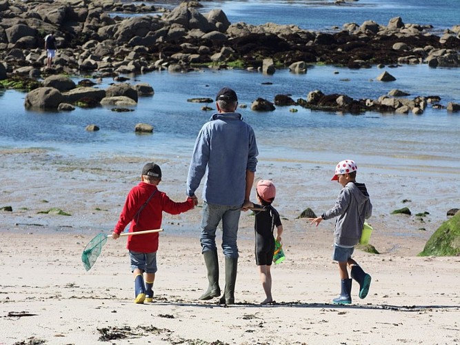 fermanville-plage-de-freval (1)