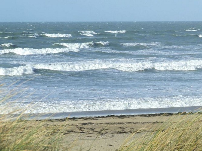 Plage d'Anneville-sur-Mer