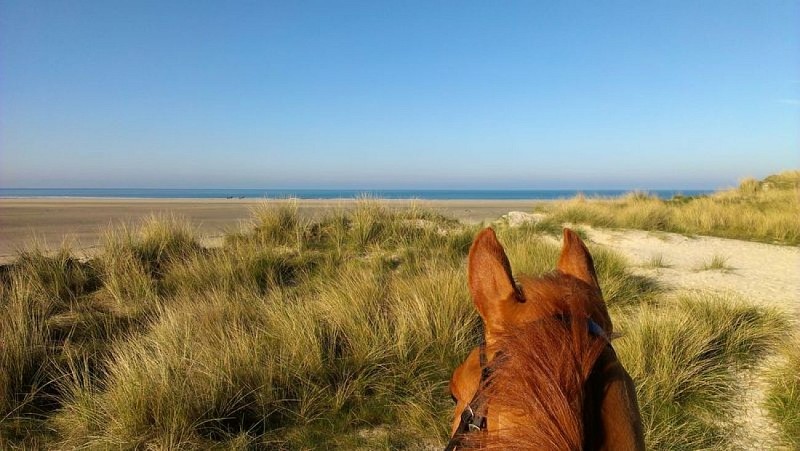 2013-02-18-10.50.13 [800x600]