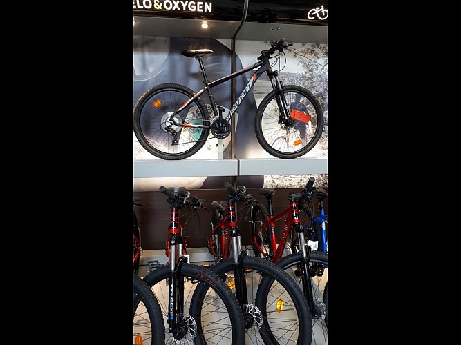 act-loisirs-quettehou-ets-massieu (1)