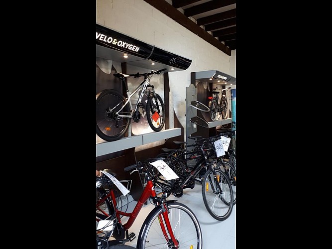 act-loisirs-quettehou-ets-massieu (7)