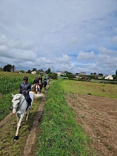 CENTRE EQUESTRE VAL DE SAIRE - REVILLE - 3